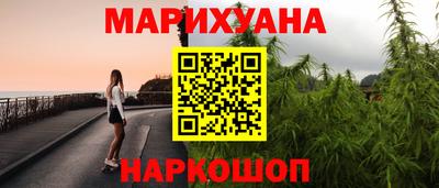 сатива Малгобек