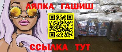 сатива Малгобек