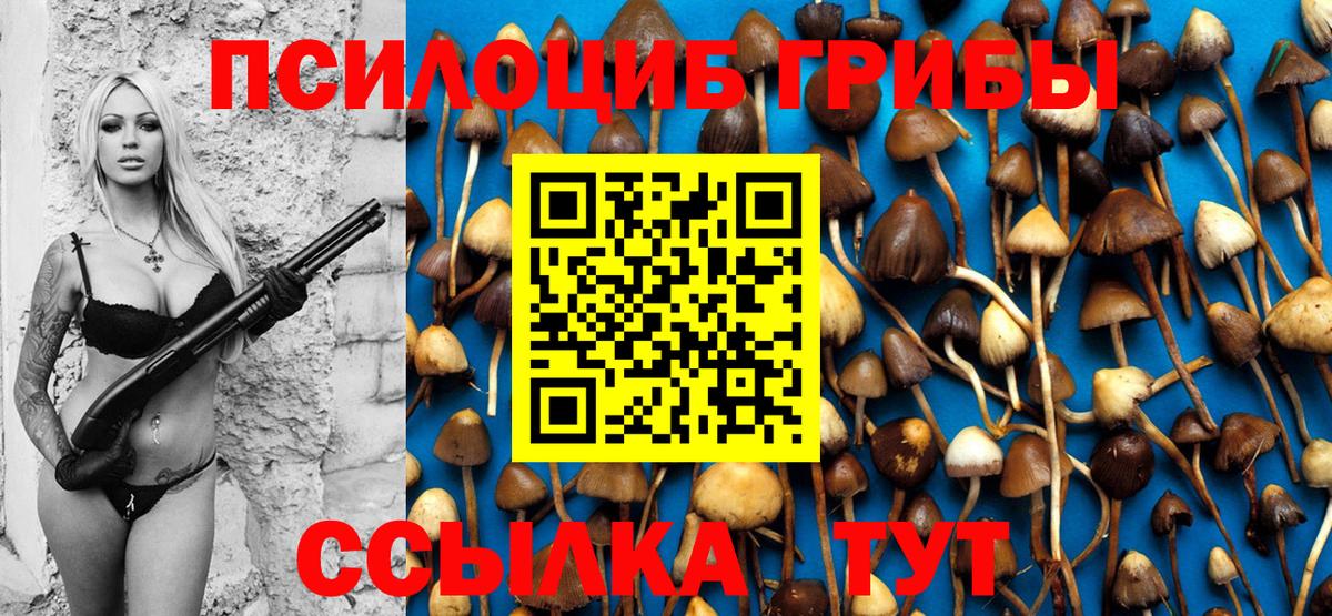 Чусовой  Галлюциногенные грибы мицелий  Псилоцибиновые грибы Psilocybine cubensis  Вход с VPN 