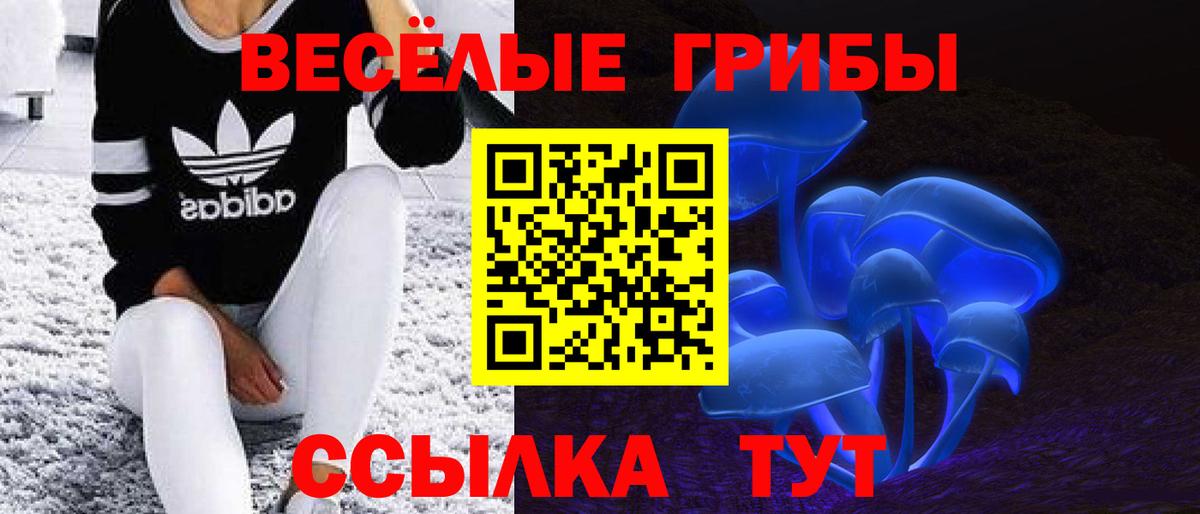 Псилоцибиновые грибы GOLDEN TEACHER Чусовой